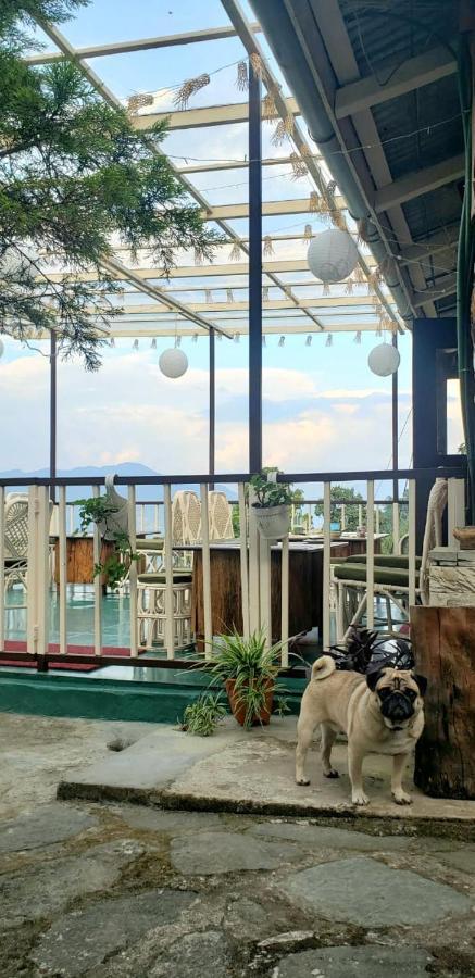 The Nettle And Fern Farmstay Pelling Εξωτερικό φωτογραφία