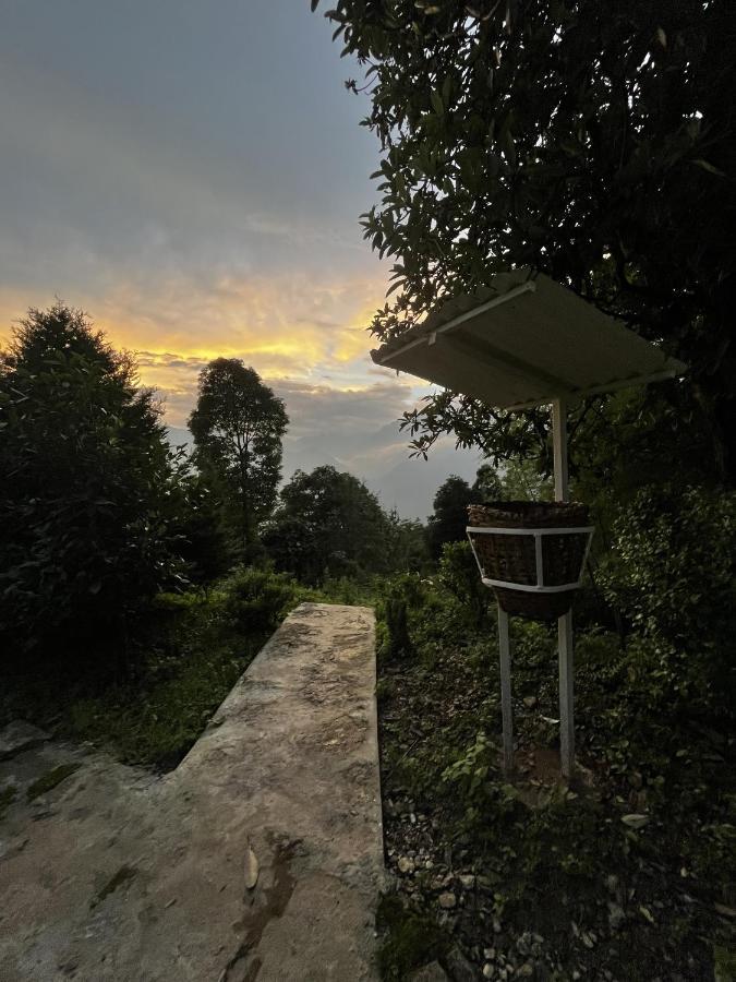 The Nettle And Fern Farmstay Pelling Εξωτερικό φωτογραφία