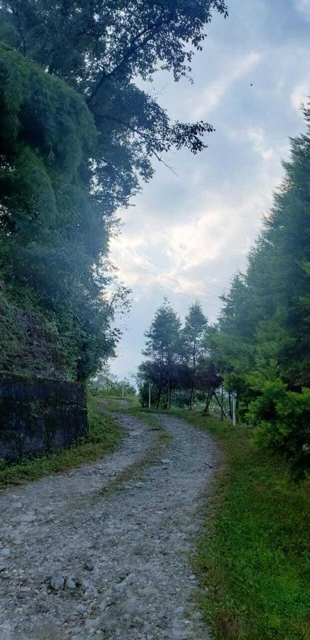 The Nettle And Fern Farmstay Pelling Εξωτερικό φωτογραφία
