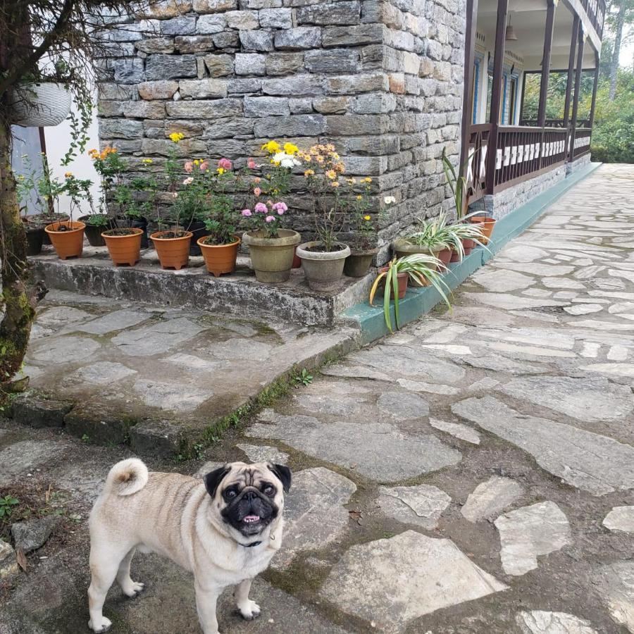 The Nettle And Fern Farmstay Pelling Εξωτερικό φωτογραφία