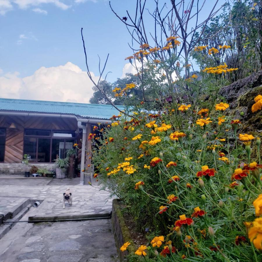 The Nettle And Fern Farmstay Pelling Εξωτερικό φωτογραφία
