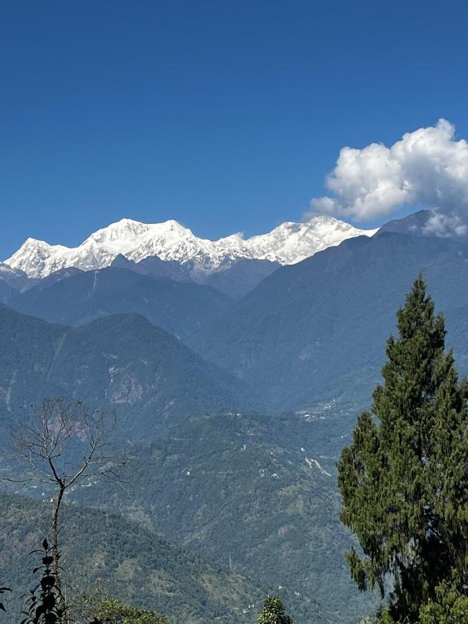 The Nettle And Fern Farmstay Pelling Εξωτερικό φωτογραφία