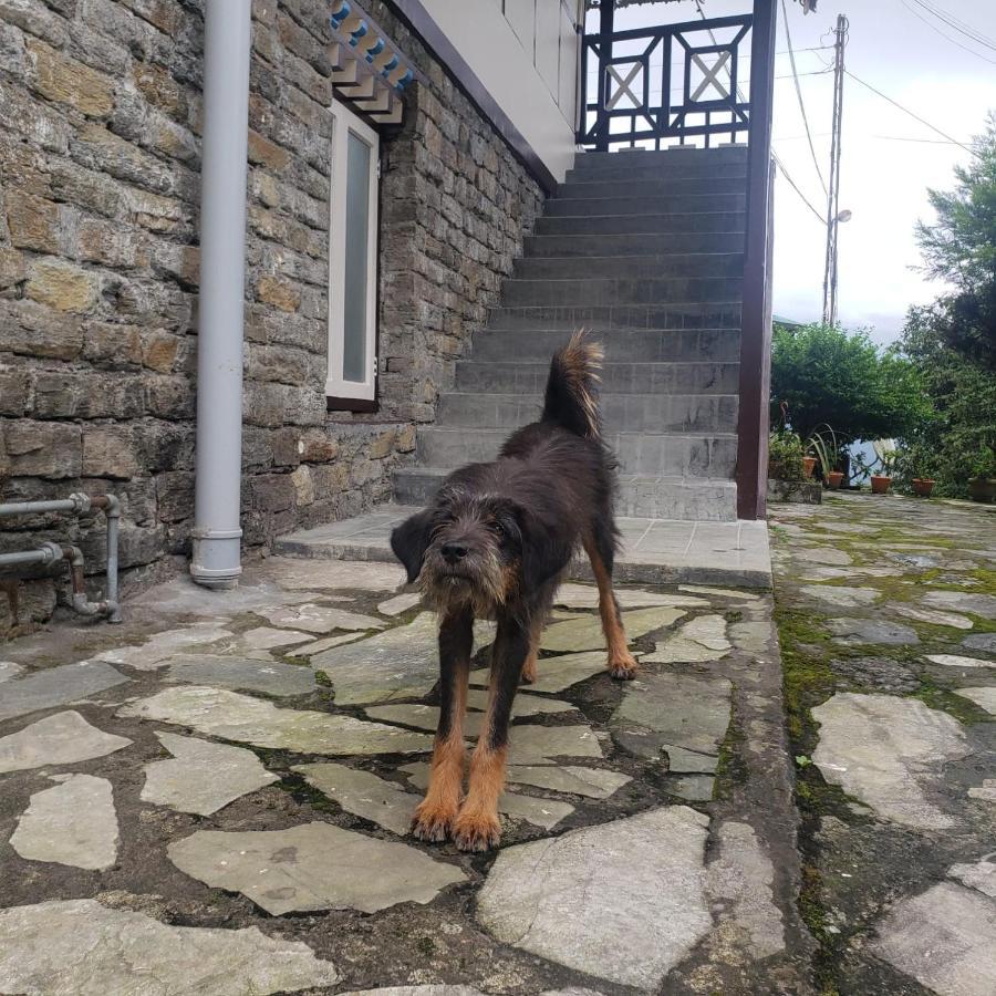 The Nettle And Fern Farmstay Pelling Εξωτερικό φωτογραφία